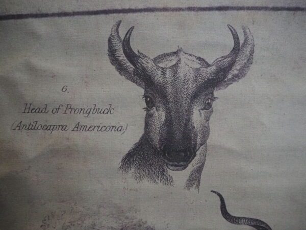 Fabric w/ Deer - Image 3