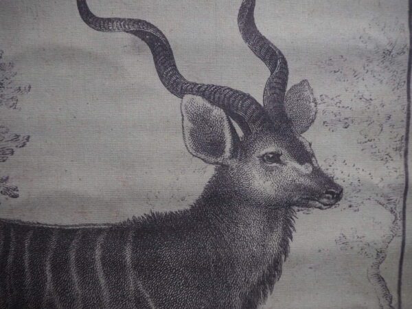 Fabric w/ Deer - Image 4