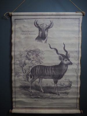 Fabric w/ Deer