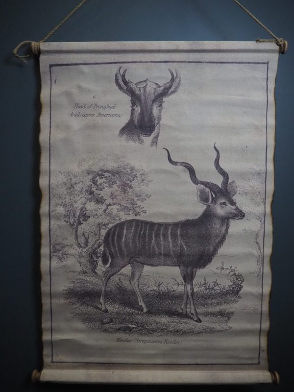 Fabric w/ Deer