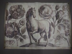 Horse 100X70