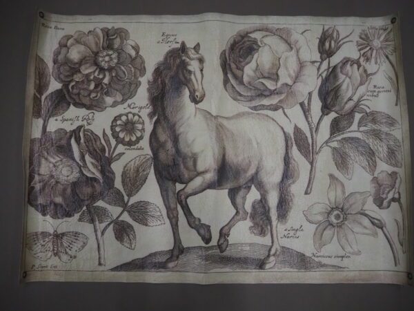 Horse 100X70