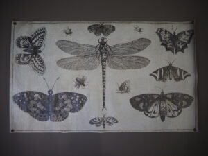 Dragonfly & Butterfly 100*60*2