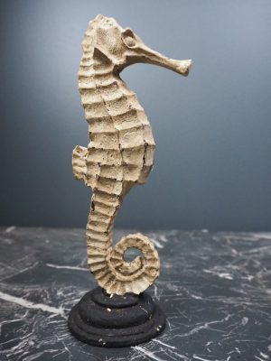Sea Horse W Base Wda