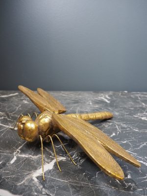 Dragonfly gold