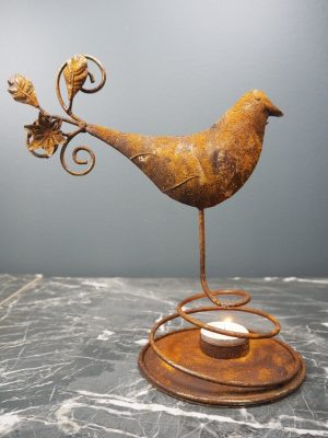 Bird