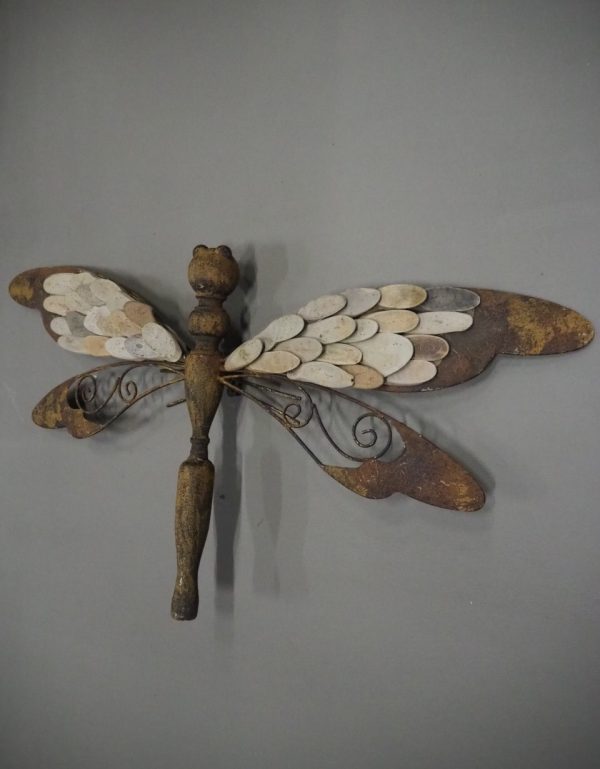 Dragonfly driftwood