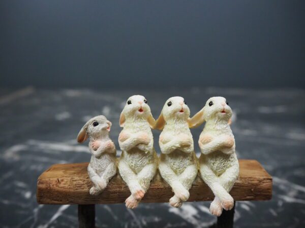 Rabbit - Image 4