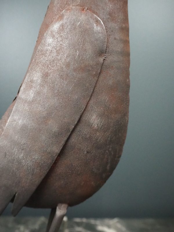Bird grey Standing - Image 4