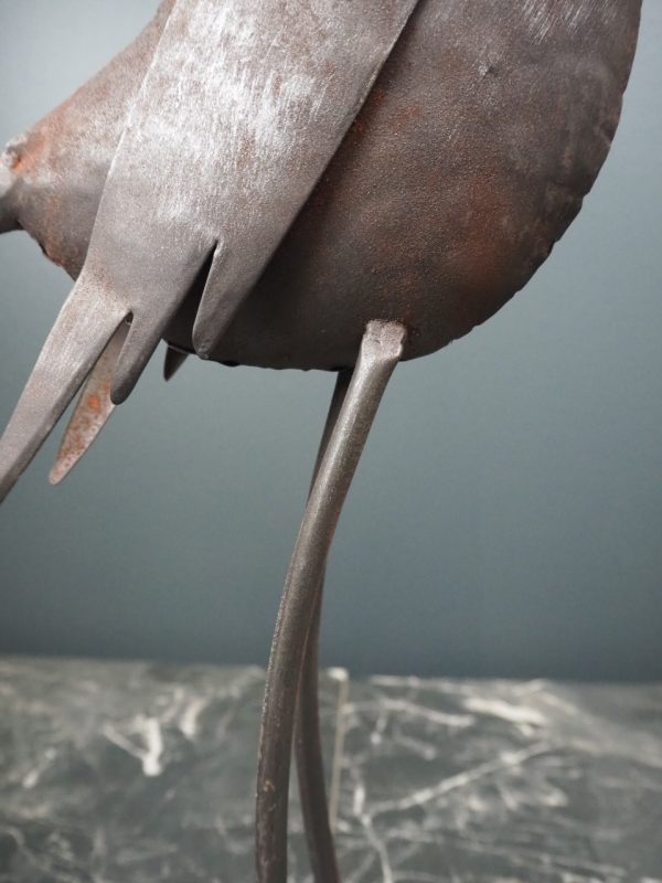 Bird grey Standing - Image 5