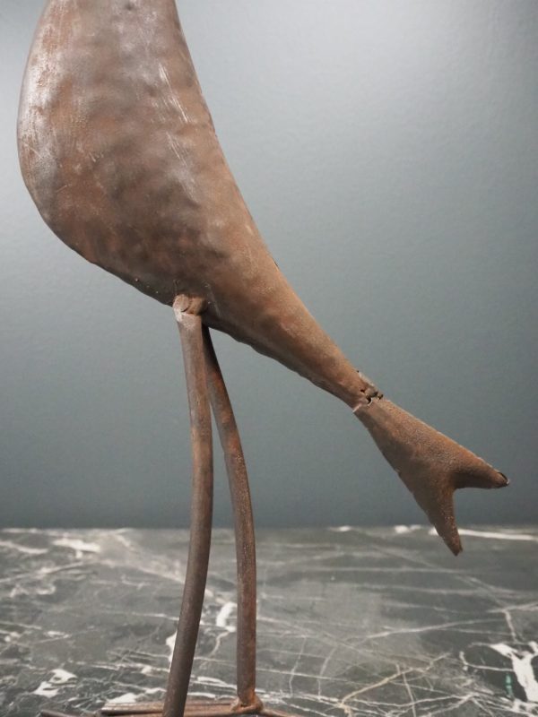 Bird grey Standing - Image 4