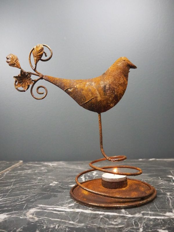 Bird - Image 2