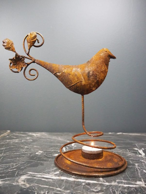 Bird - Image 5