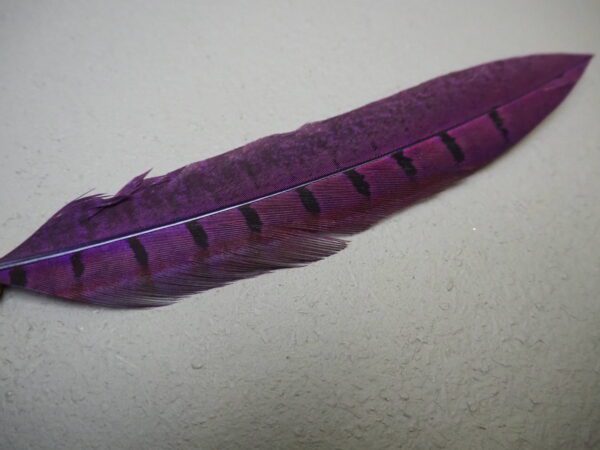 Feather ball pen violet - Image 2