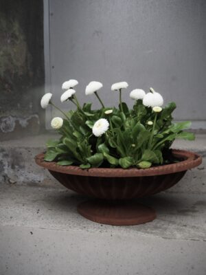 Amara Planter