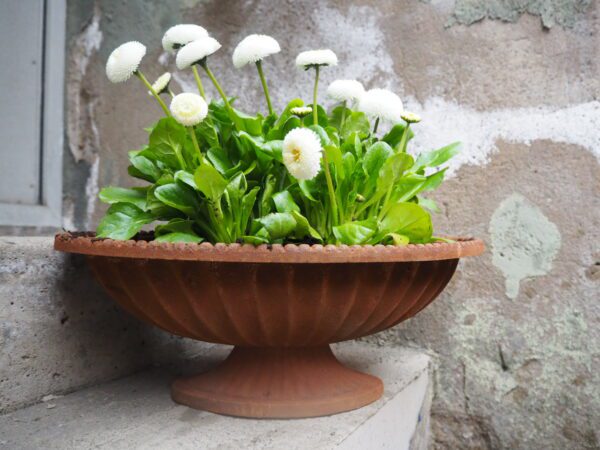 Amara Planter - Image 2
