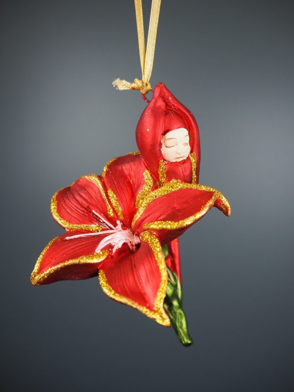 Stargazer baby red - Image 2