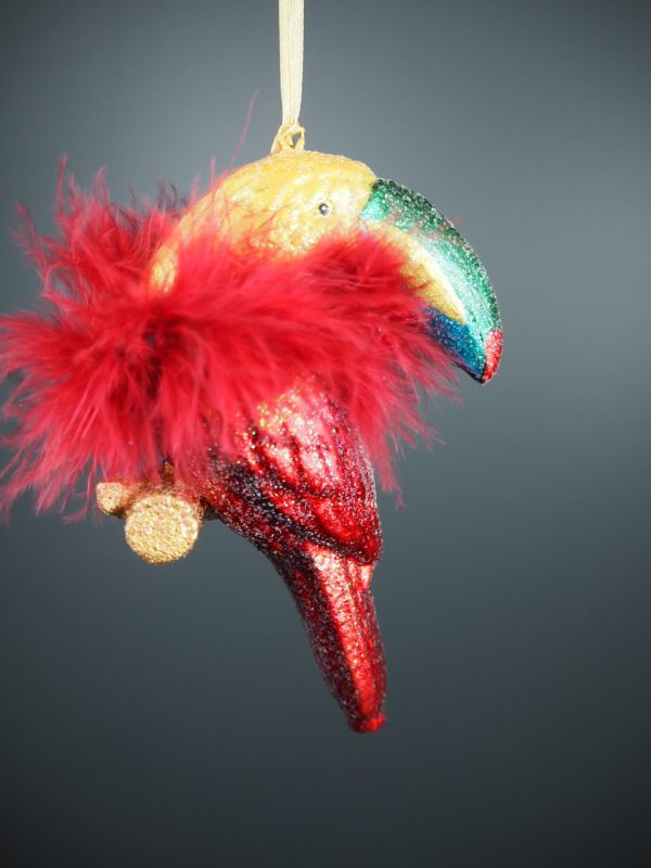 Toucan in colourful fin w/ red feather orn - Image 2