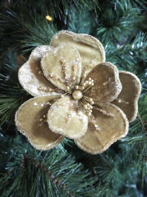 Velvet rose olive