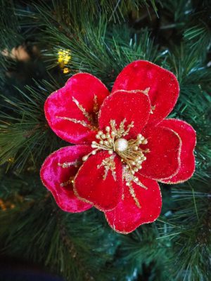 Velvet rose red