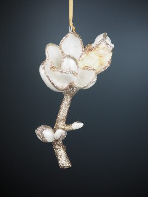 Jasmine baby  pearl white