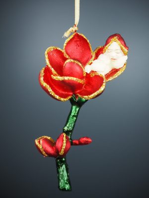 Jasmine baby  red/green