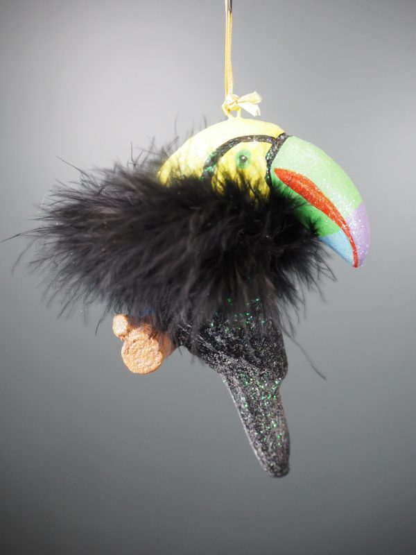 Toucan in colourful fin w/ black feather orn