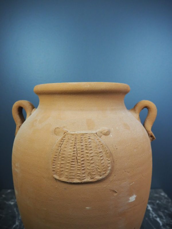 Terracotta w shell raw - Image 3