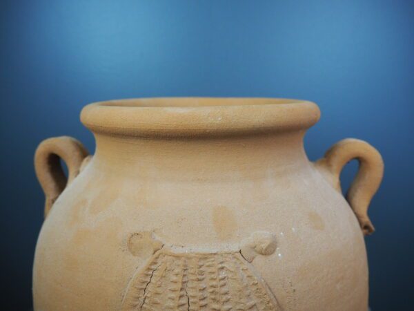 Terracotta w shell raw - Image 4