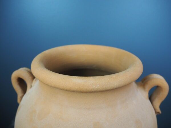 Terracotta w shell raw - Image 5
