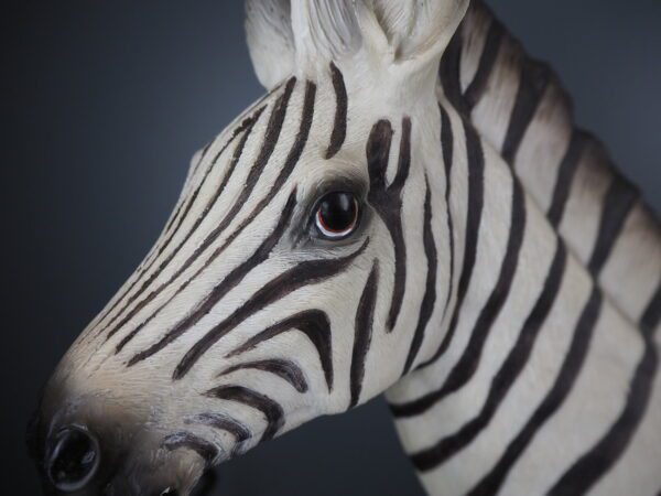 Zebra  w Lamp - Image 3