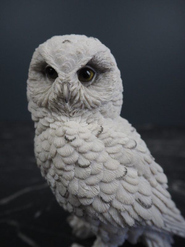 Owl - Image 2