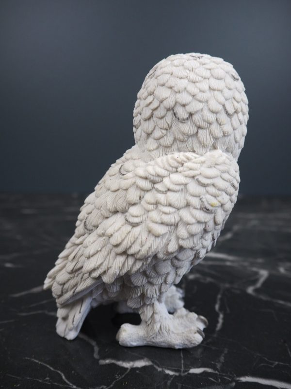 Owl - Image 4