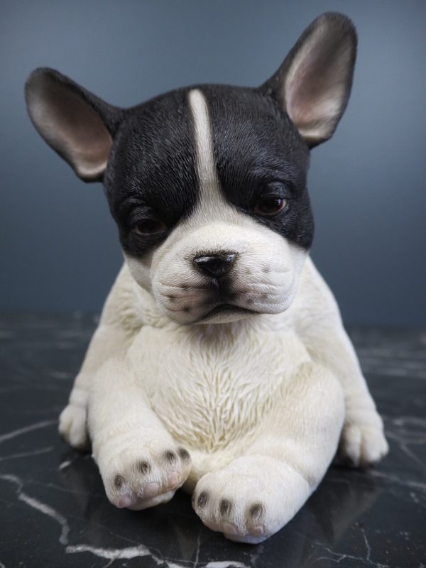 Dog sitting - Image 2