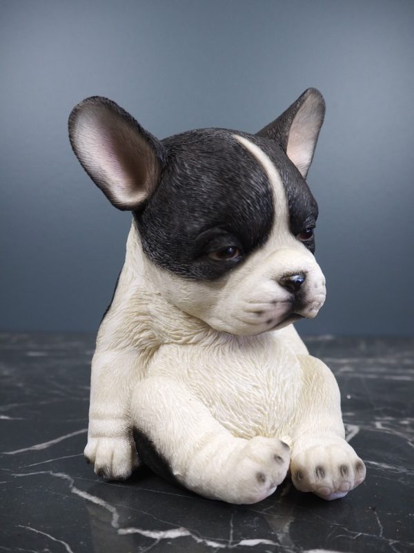 Dog sitting - Image 3