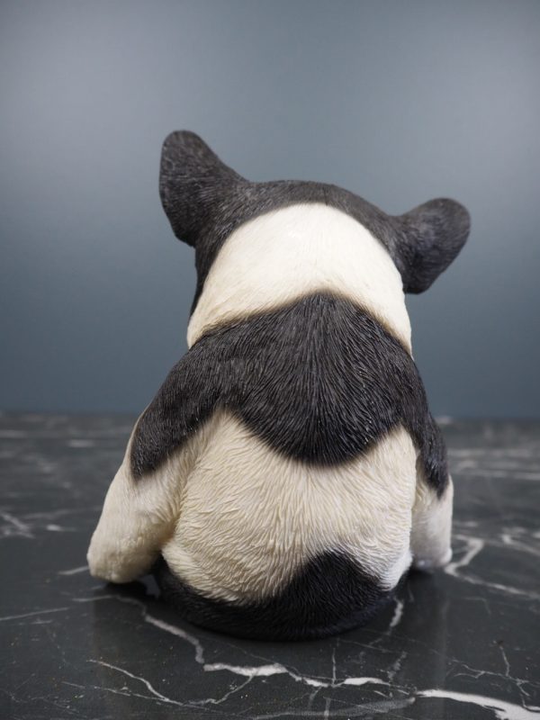 Dog sitting - Image 4