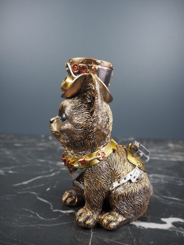 Cat - Image 4