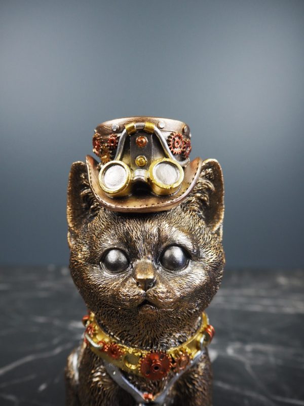 Cat - Image 5