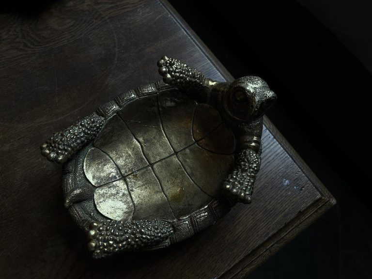 Todd the turtle tray - Image 4