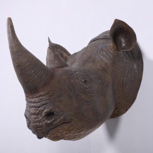Rhinoceros Head