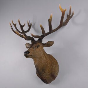 Grand Stag Head Wall Decor