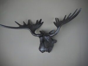 Horn