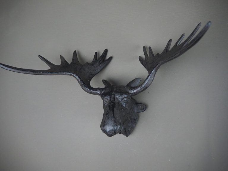 Horn