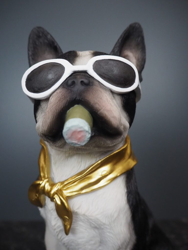 Dolph dog - Image 2