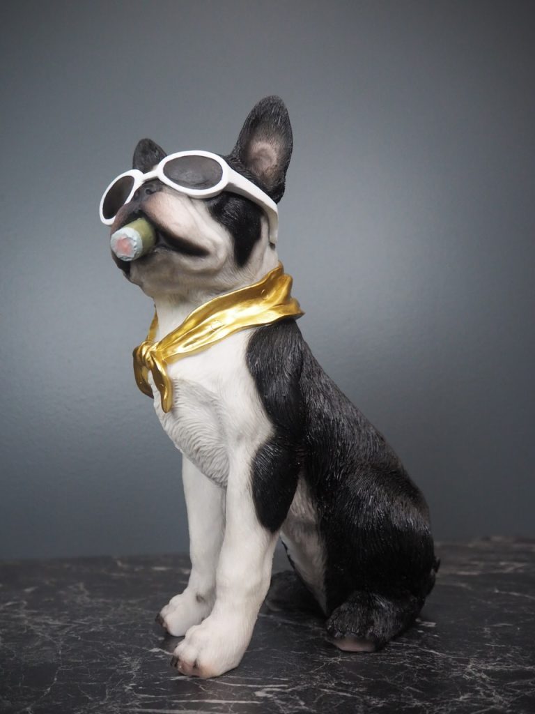 Dolph dog - Image 3