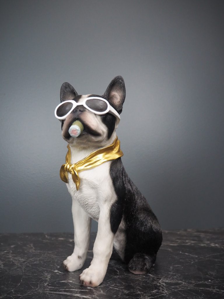 Dolph dog - Image 4