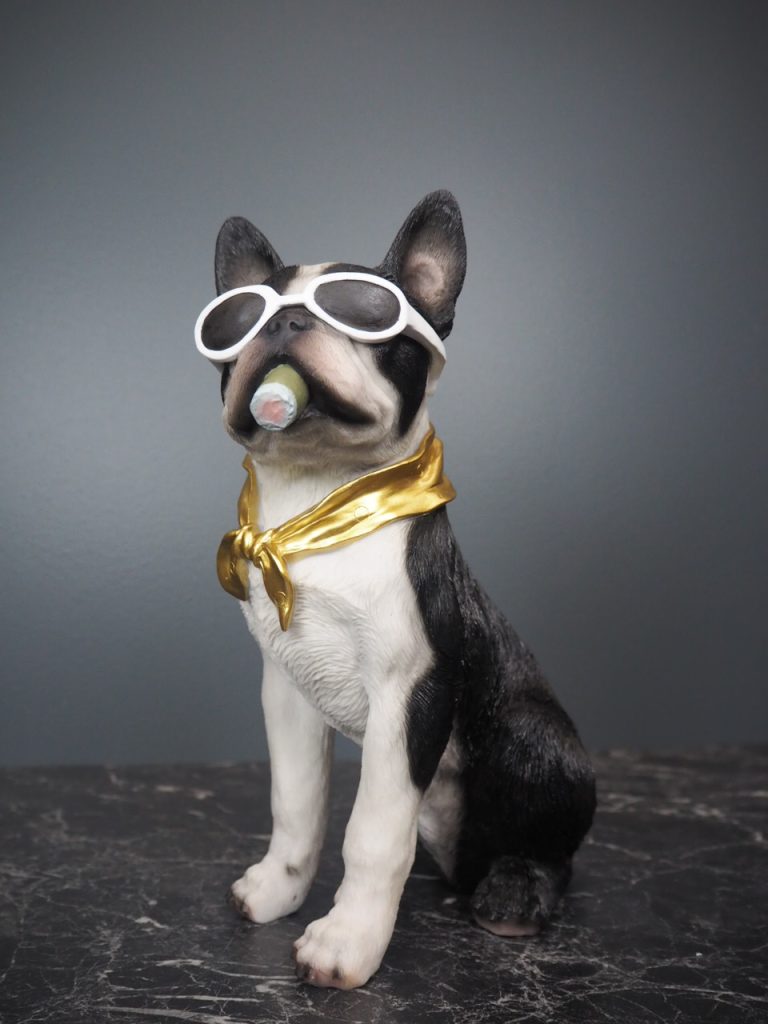 Dolph dog - Image 5