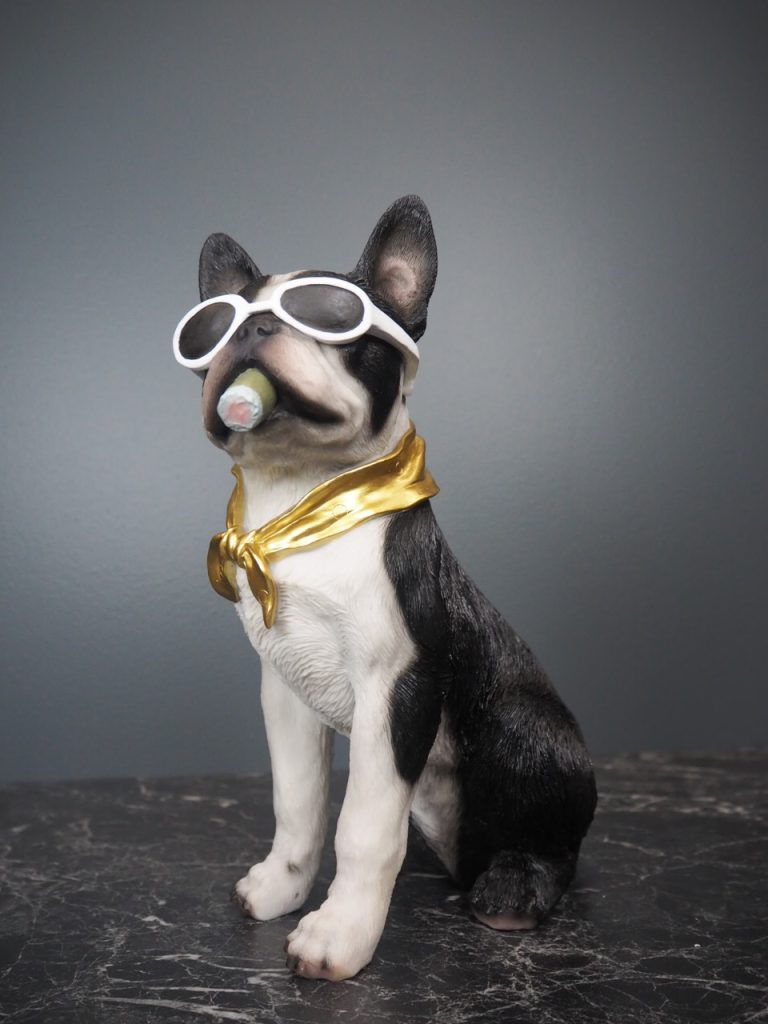 Dolph dog - Image 6