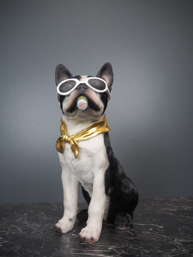 Dolph dog