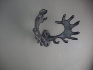 Horn